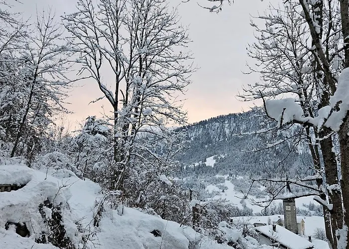 Appartement Panorama Nähe Skigebiet Laax *